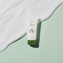 Load image into Gallery viewer, Refreshing Mugwort Cleansing Foam